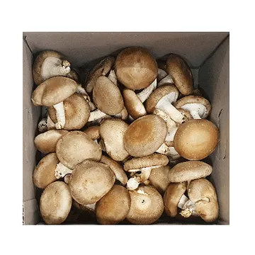 표고버섯(수도권용 상품 프레시 KG)/국내산