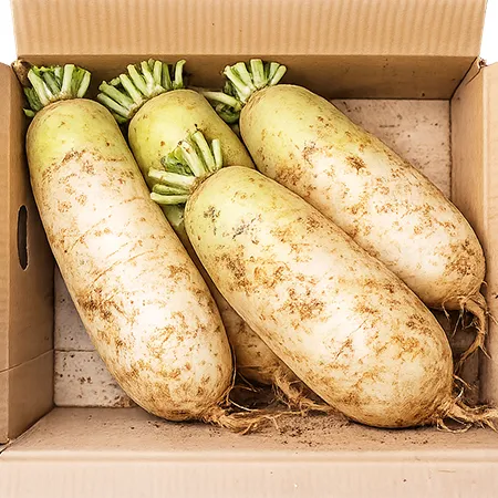 ★매일시장특가★ 무우(3~5입 5Kg/BOX)