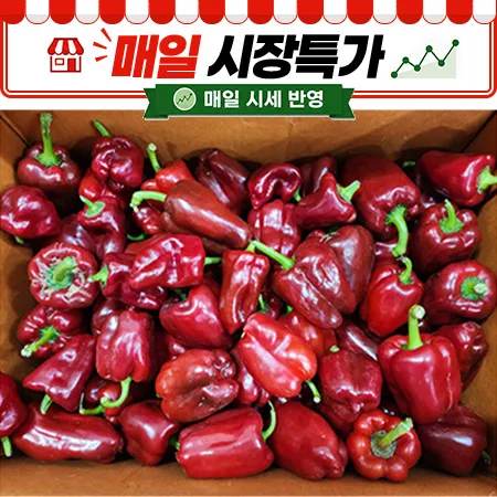 ★매일시장특가★ 홍피망 (실속, 10Kg/BOX) 못난이
