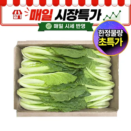 ★매일시장특가★ 얼갈이배추(상 4Kg/BOX)