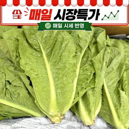 ★매일시장특가★ 통로메인(상 2Kg/BOX) 로메인