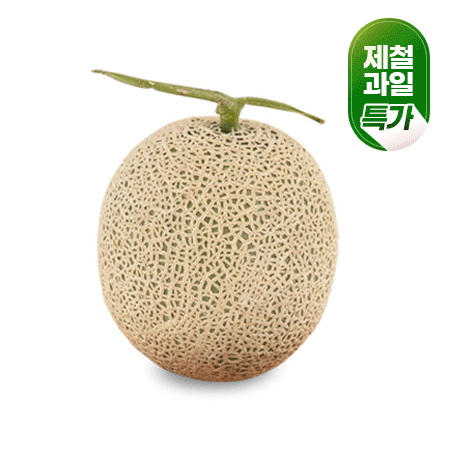 ★초특가★ 머스크 멜론 메론 국내산 당도선별 과일 특가