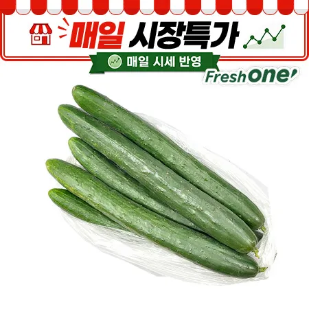 ★매일시장특가★ 프레시원 취청오이(상, 5입 내외/1Kg)