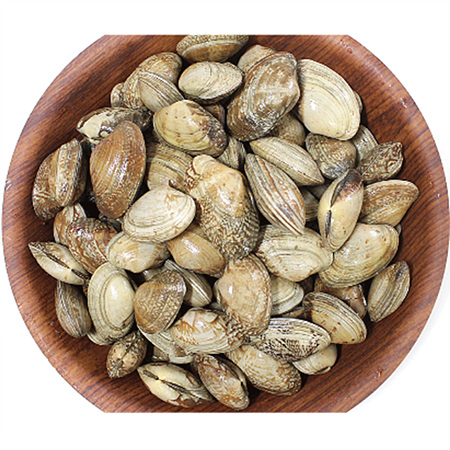 바지락(생물 500g/EA)/국내산