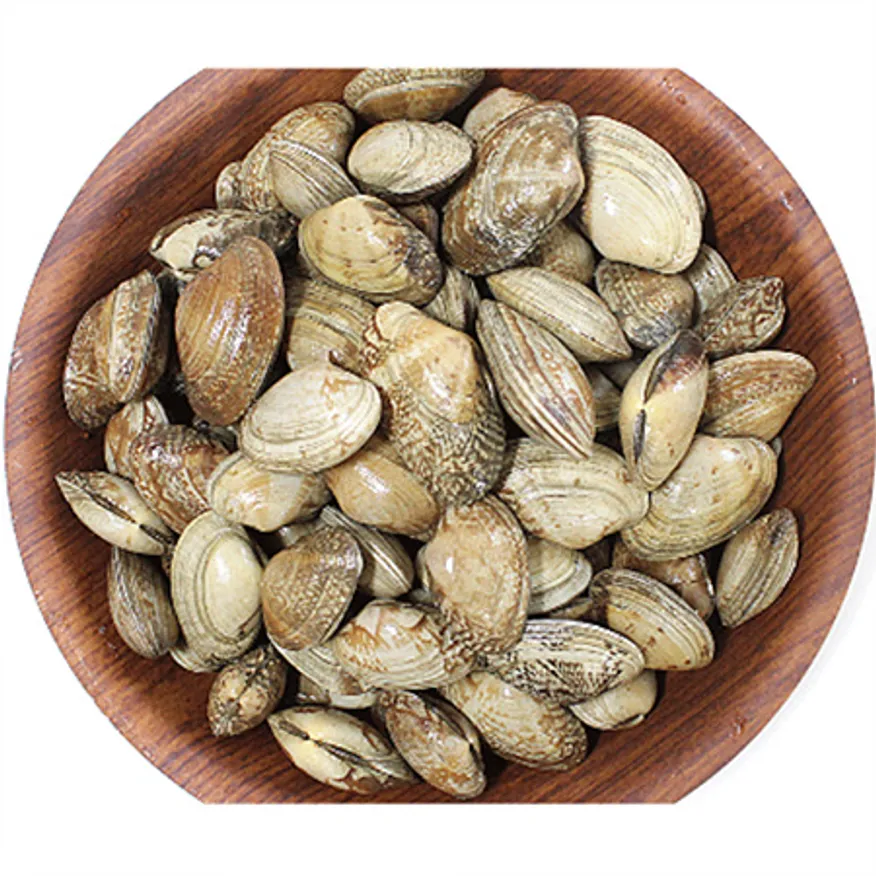 바지락(생물 500g/EA)/국내산 이미지