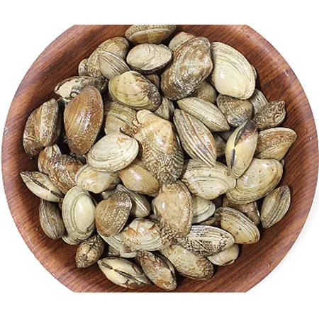 바지락(생물 500g/EA)/국내산