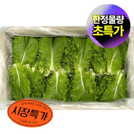 ★매일시장특가★ 청상추(국내산 상 4Kg/BOX) 상추 초특가 채소 야채