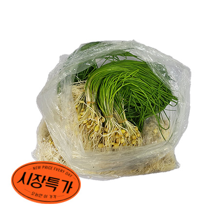 ★매일시장특가★ 달래(500g/EA)