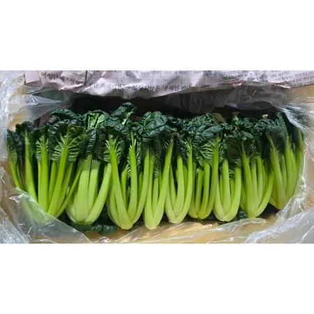  비타민(상 한국청과 179번 2Kg/BOX)