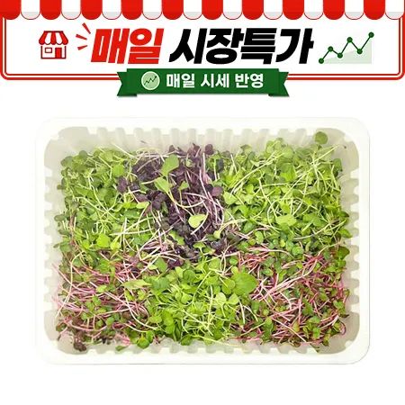 ★매일시장특가★혼합베이비채소(국산 500g/EA)