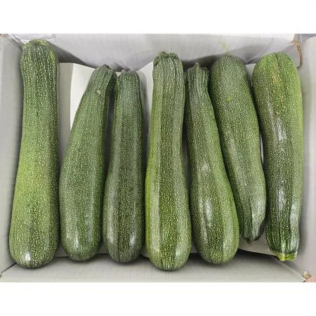 쥬키니호박(상 한국청과 106번 10Kg/BOX)