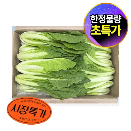 ★매일시장특가★ 얼갈이배추(상 4Kg/BOX)