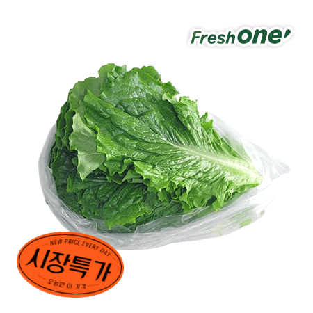 ★매일시장특가★ 프레시원 청상추(특 500g/EA) 초특가 채소 야채