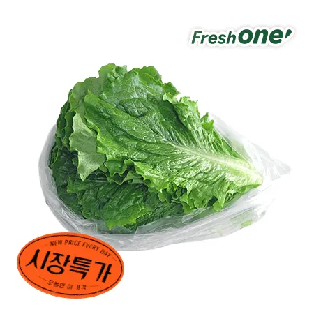 ★매일시장특가★ 프레시원 청상추(특, 500g/EA)