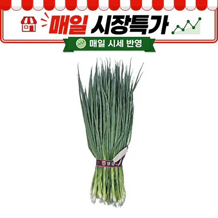 ★매일시장특가★ 실파 (500g/EA)