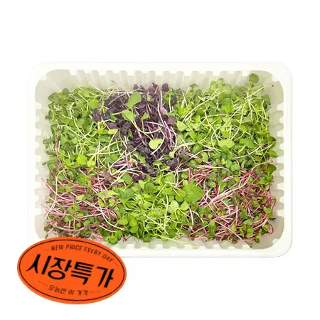 ★매일시장특가★혼합베이비채소(국산 500g/EA) ★무농약★ 초특가 채소 야채 국내산 혼합 베이비 베이비순
