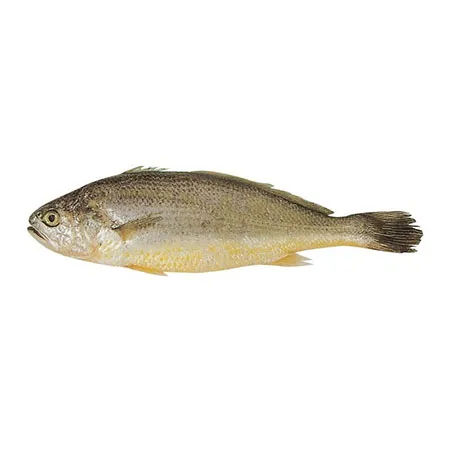 참조기(30~50g/미 40g/EA)