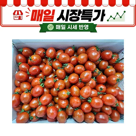 ★매일시장특가★ 대추방울토마토(15~25g/개 5Kg/BOX)