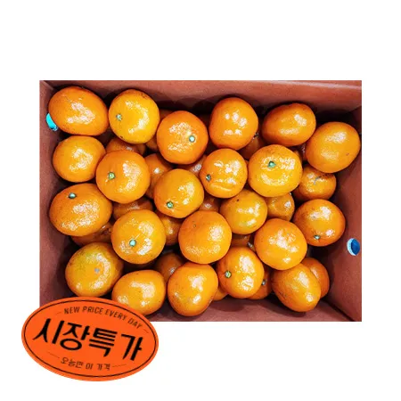 ★매일시장특가★ 감귤 (M_47~60과 5Kg/BOX) 과일 초특가