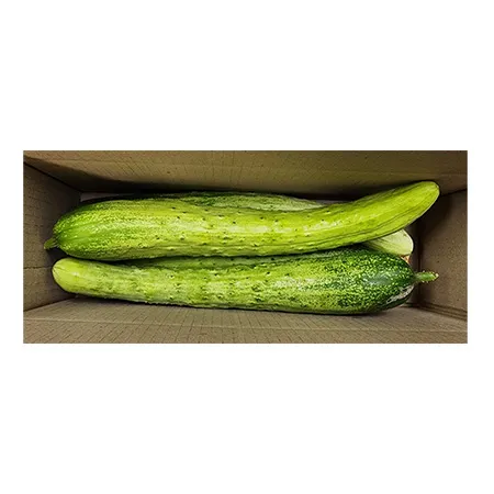 ★매일시장특가★ 다다기오이 (실속, 5입 내외, 1Kg/EA)