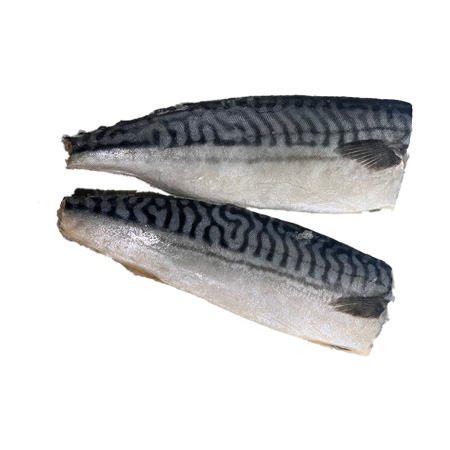 고등어필렛(100~130g/필렛 KG)