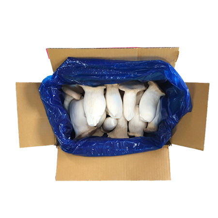 새송이버섯(실속 2Kg/EA)