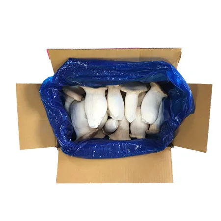 새송이버섯(실속 2Kg/EA)