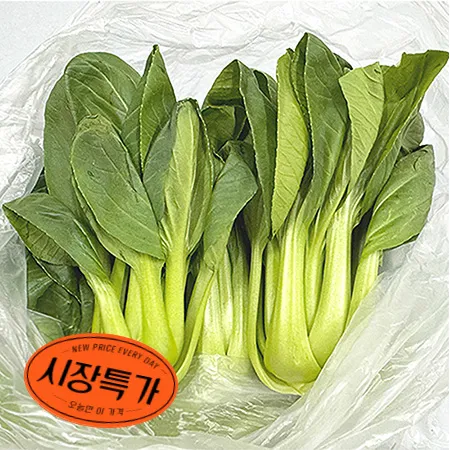 ★매일시장특가★ 프레시원 청경채(상 500g/EA) 초특가 채소 야채