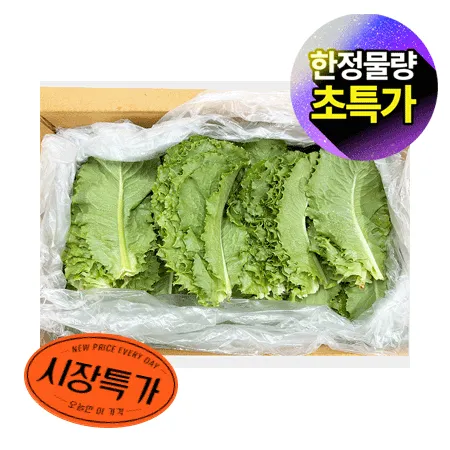 ★매일시장특가★ 로메인(상 2KG/BOX) 초특가 채소 야채 유러피언 농산물 유럽 유러피안 유로피안