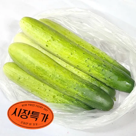★매일시장특가★ 프레시원 다다기오이/5입내외/국산/백오이
