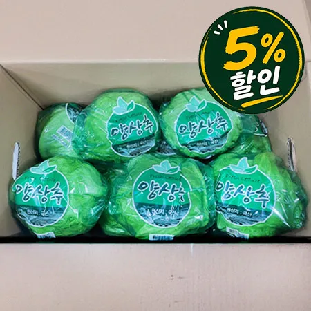 [5%쿠폰] 국산 양상추 12입/BOX (겉잎미제거)