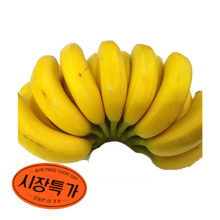 ★매일시장특가★ 바나나 (1송이 1.5Kg내외) 초특가 과일 베트남