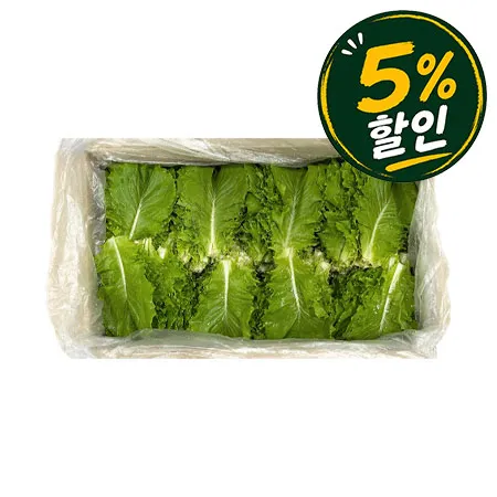 [5%쿠폰] 청상추(국내산, 상, 4Kg/BOX)