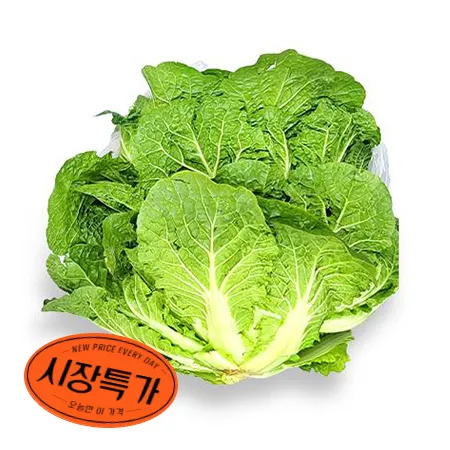 ★매일시장특가★ 봄동 1Kg