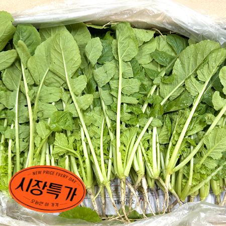 ★매일시장특가★ 열무(상 4Kg/BOX) 초특가 채소 야채