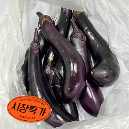 ★매일시장특가★ 프레시원 가지(국산 1Kg/EA) 초특가 채소 야채 국내산