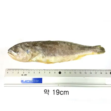 조기(무염_70~90g/평균 마리 80g/EA) 중국산 조기