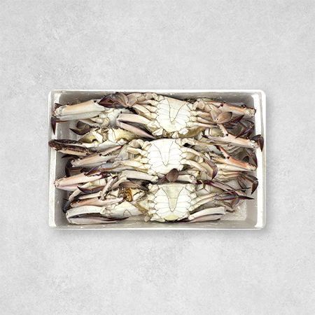 엠케이씨푸드 꽃게(라운드_300~400g/마리 4Kg/EA)