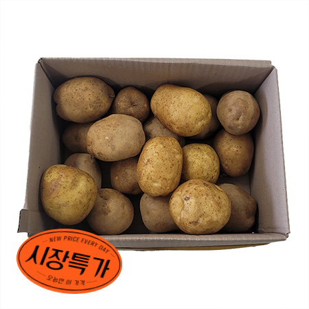 ★매일시장특가★ 감자 왕왕 5Kg/BOX (180g이상/개)
