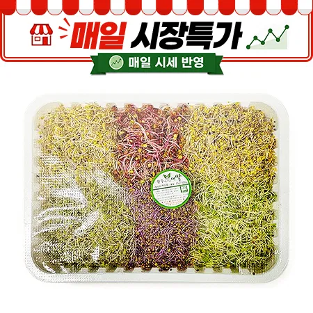 ★매일시장특가★ 모듬새싹 (500G/EA)