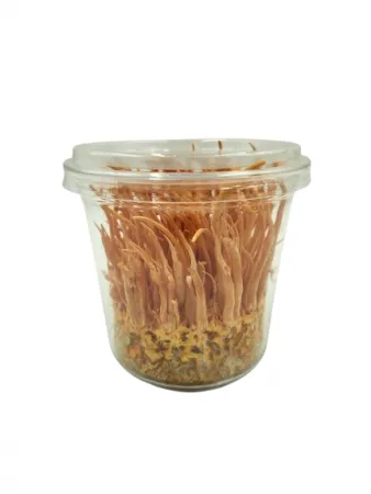 동충하초(200g/EA)