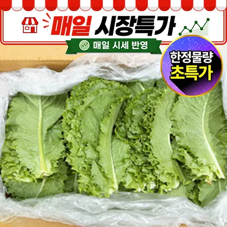 ★매일시장특가★ 로메인(상 2KG/BOX)