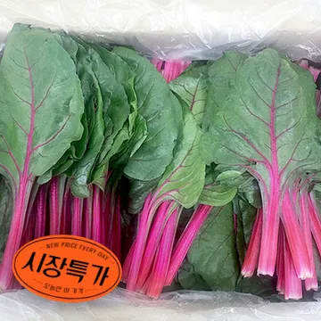 ★매일시장특가★ 적근대 2Kg/BOX 상등급 초특가 채소 야채 근대