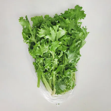 프레시원 치커리(상 200g/EA) 이미지