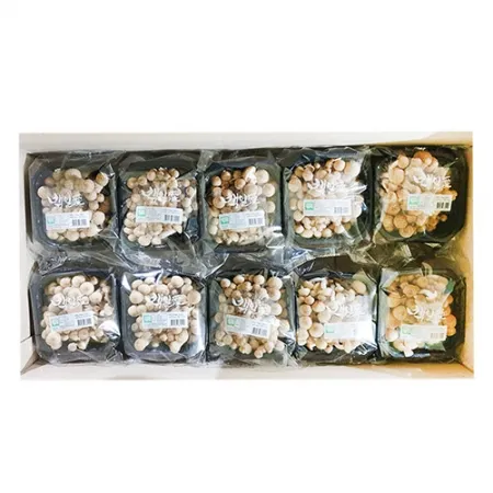 만가닥버섯(150g*10입 1.5Kg/BOX)[원산지: 국내산] 버섯