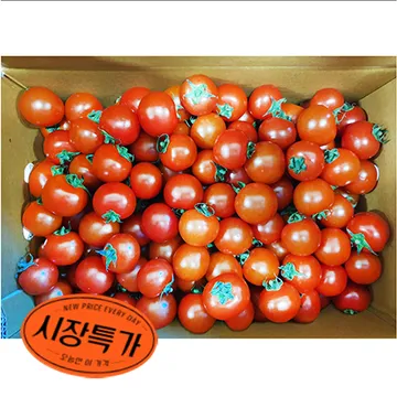 ★매일시장특가★ 방울토마토( 1~2번과 5Kg/BOX) 과일 샐러드 초특가