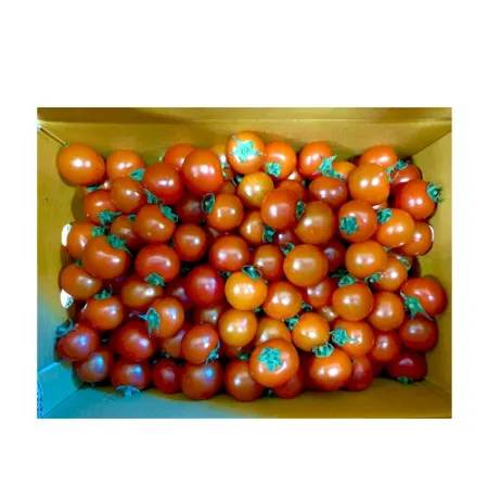 방울토마토(20g이상/개 5Kg/BOX)/국내산