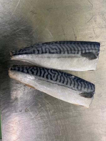 고등어필렛(100~130g/필렛 KG)