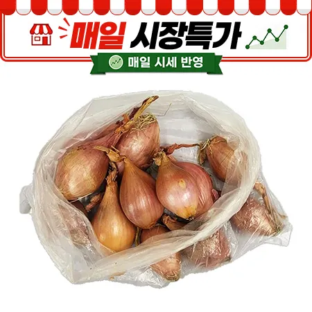 ★매일시장특가★ 샬롯 (상품 300g/EA)
