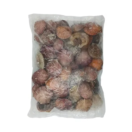 홍가리비(IY 1Kg/EA)